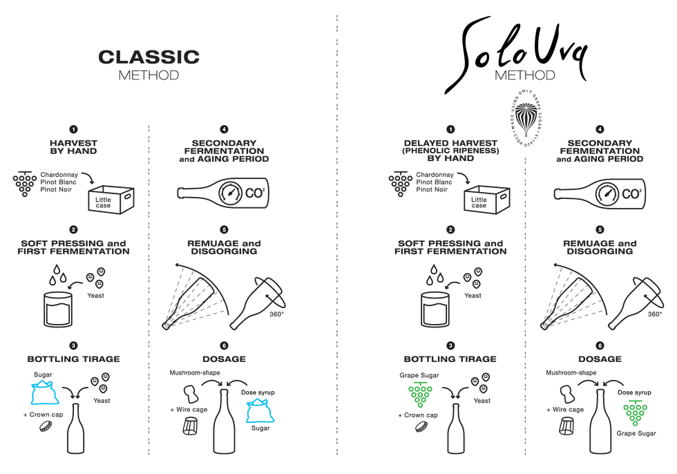 75ca20_235bb200eeca4675894e8c0cd73929e4