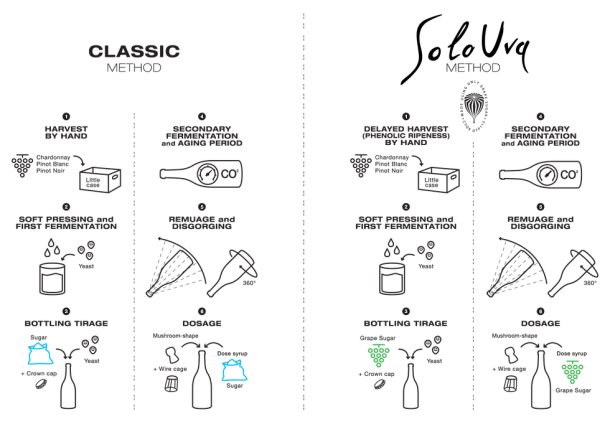 75ca20_235bb200eeca4675894e8c0cd73929e4