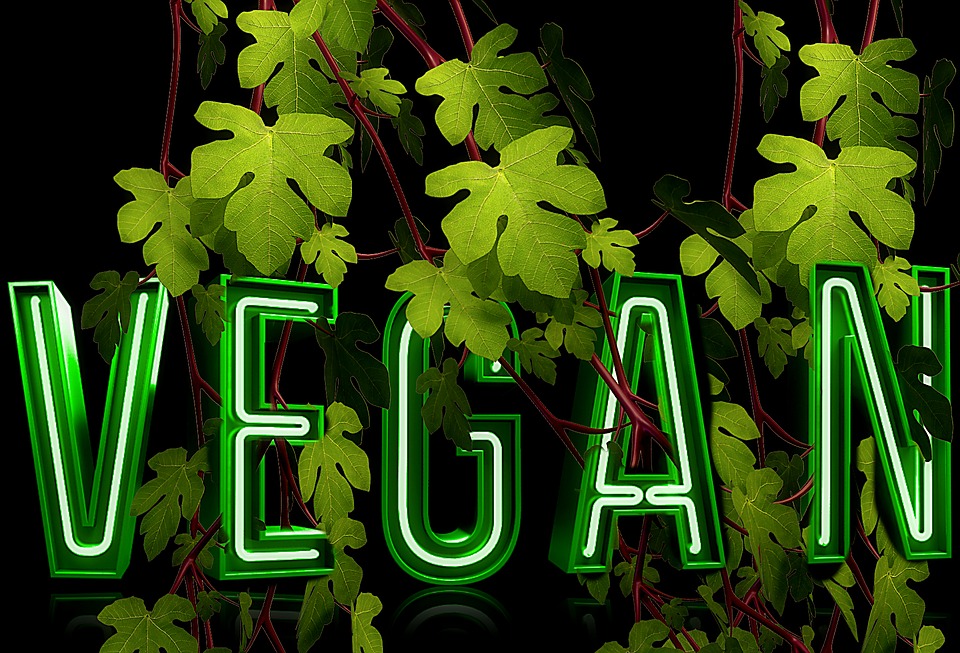vini veg