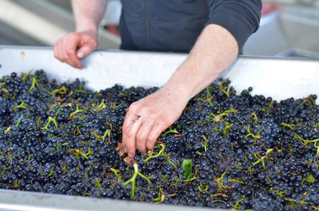 Vinocondiviso riassunto in 5 post