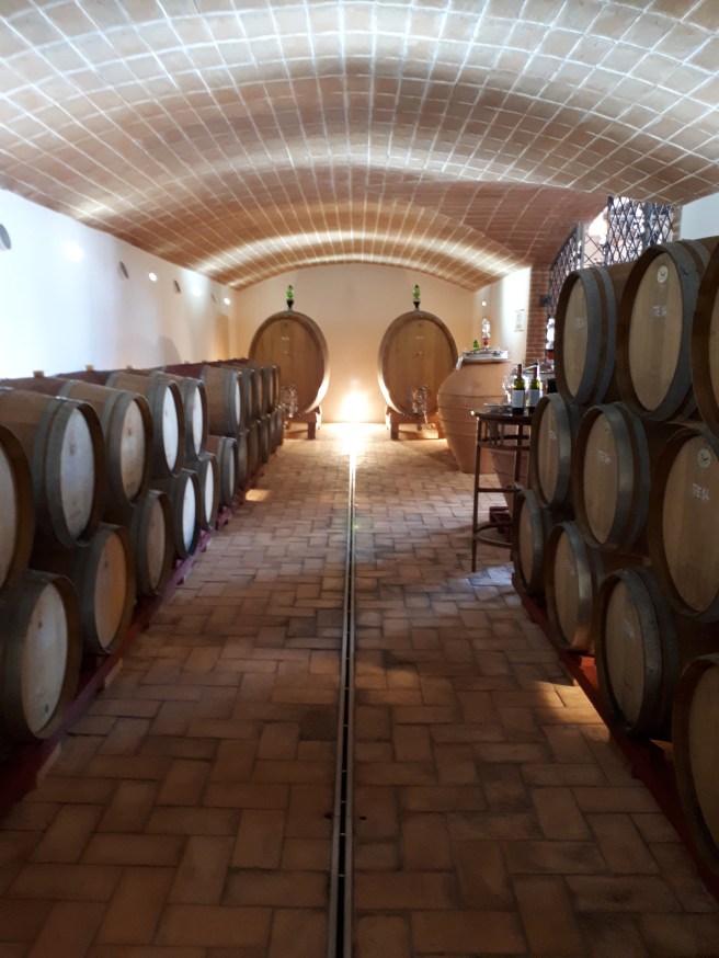 Casteani: cantina di affinamento
