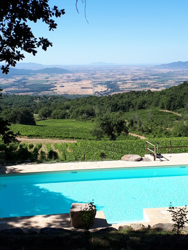 Vista sulle vigne, la Maremma, l'Isola del Giglio Valdonica