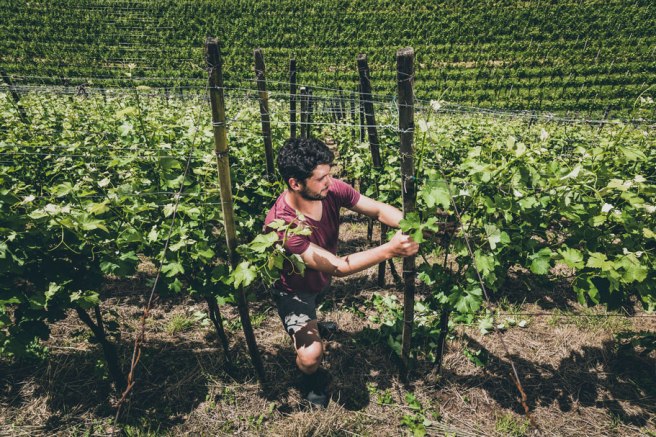 Pinot Nero Riserva Matan