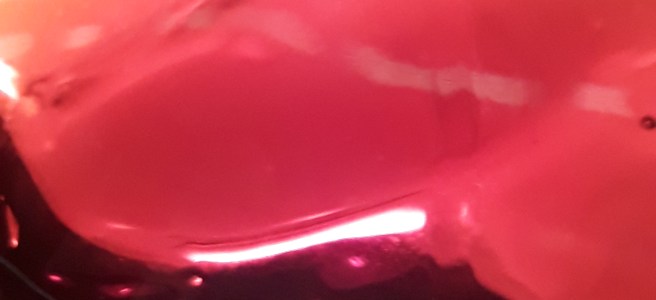 Langhe Nebbiolo 2015 - Giuseppe Mascarello