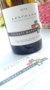 Derthona 2016 - Walter Massa