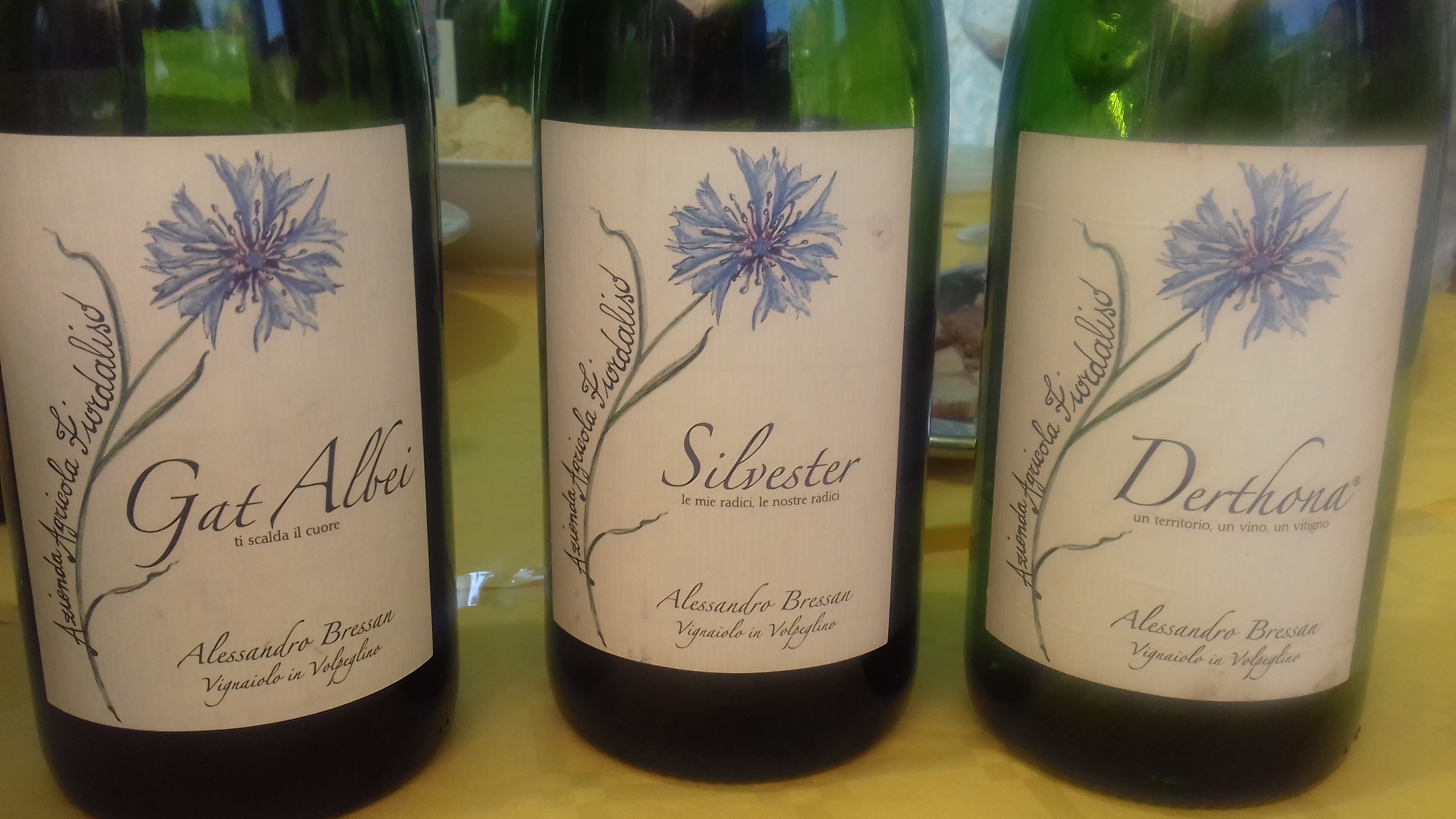 i vini dell'azienda Agricola Fiordaliso di Alessandro Bressan