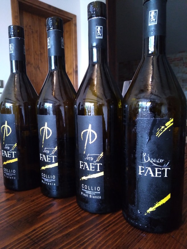 Terre del Faet: i vini in degustazione