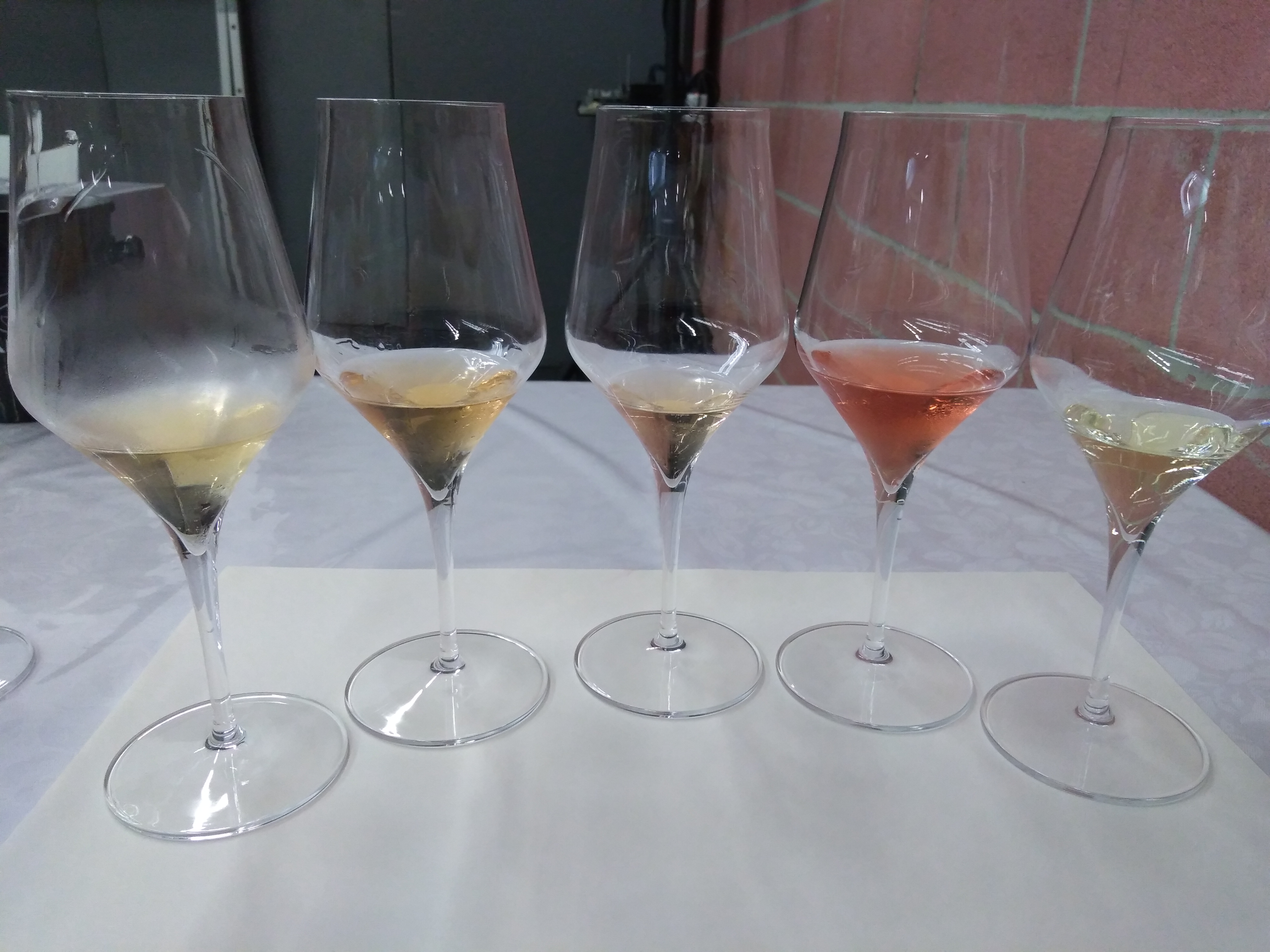 i colori del Sorbara