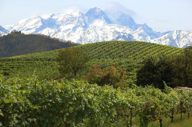 Il Monte Rosa fa da cornice ai vigneti