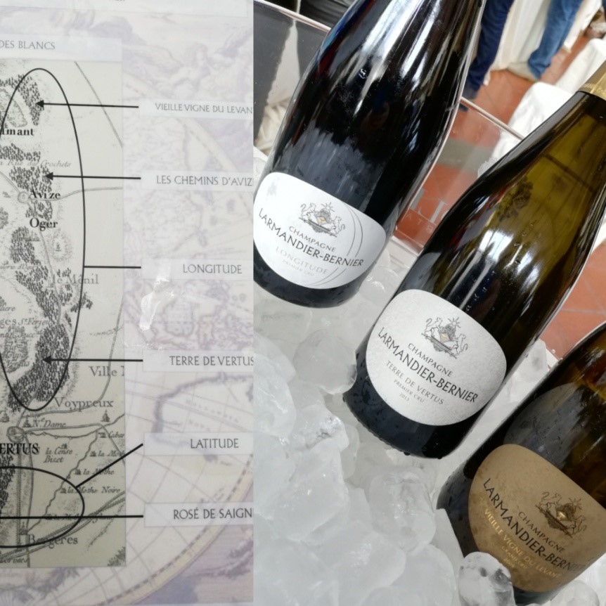 Gli Champagne Larmandier-Bernier