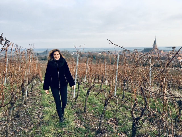 Passeggiando, al fresco, tra i filari...