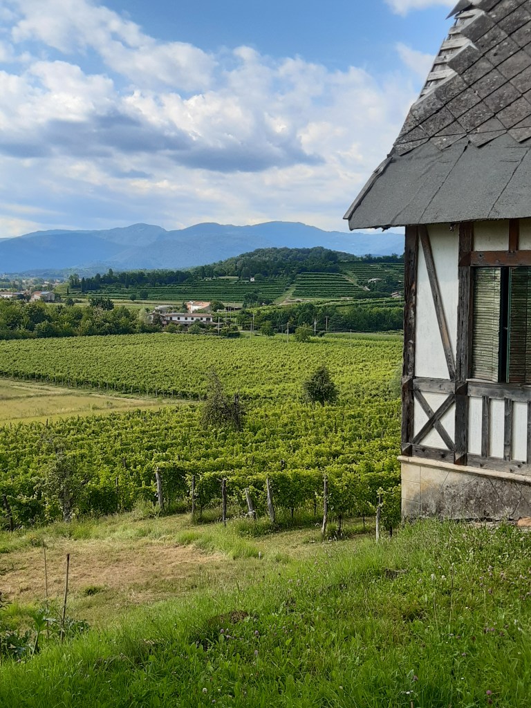 Vista sui Colli Orientali del Friuli