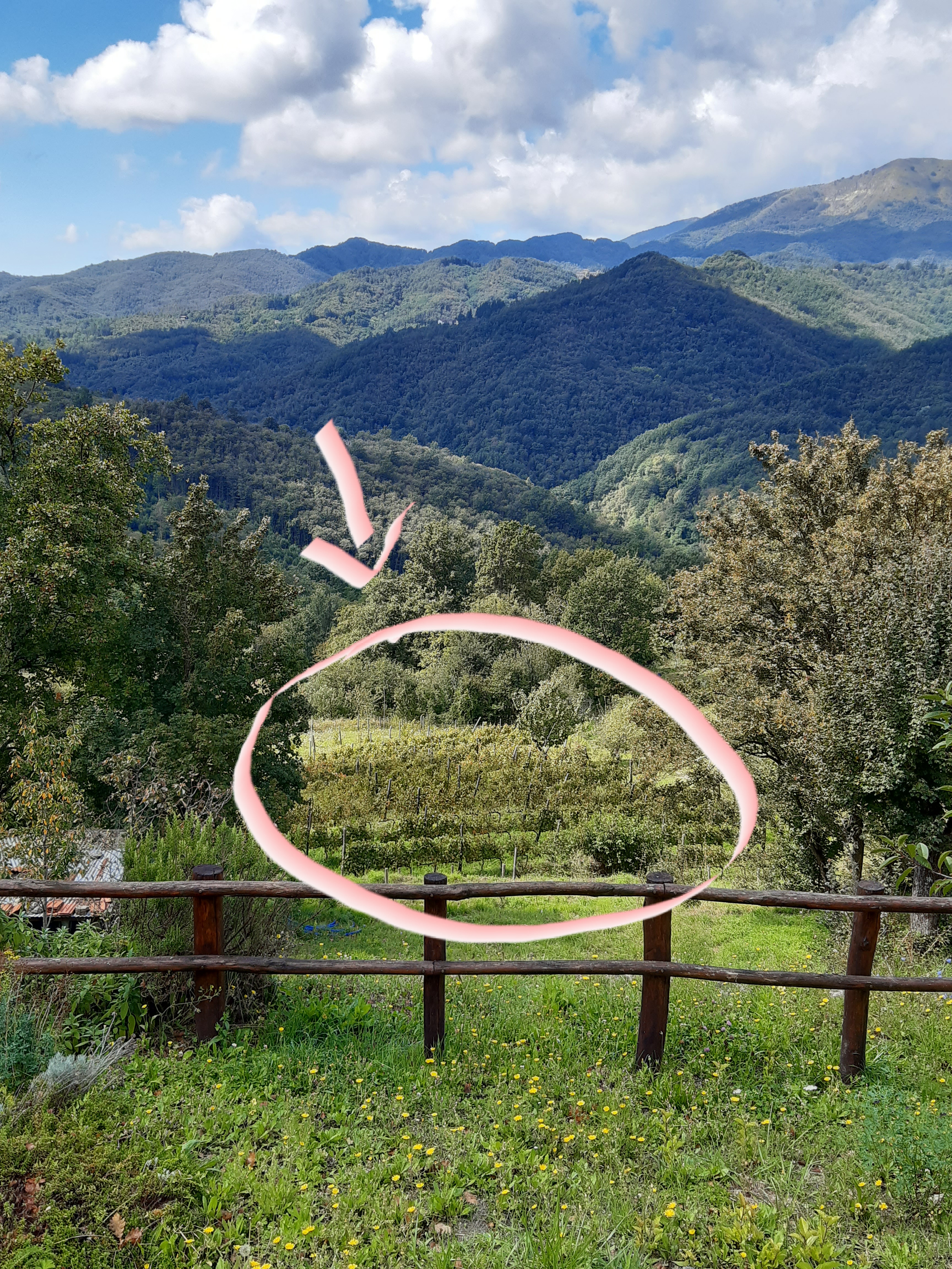 La vigna giardino de La Casetta