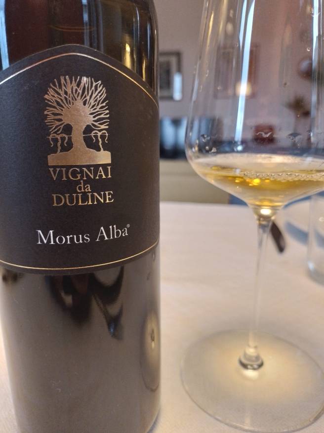 Vignai da Duline, 2017 Morus Alba
